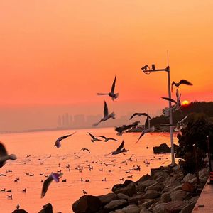 人妻裸模在线播放
