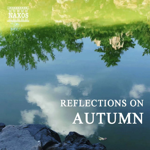 人妻裸模在线播放
